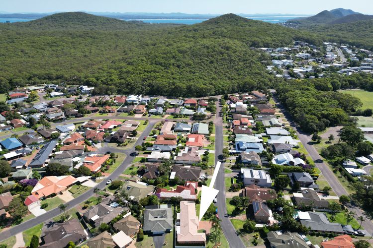 Fingal Palms
