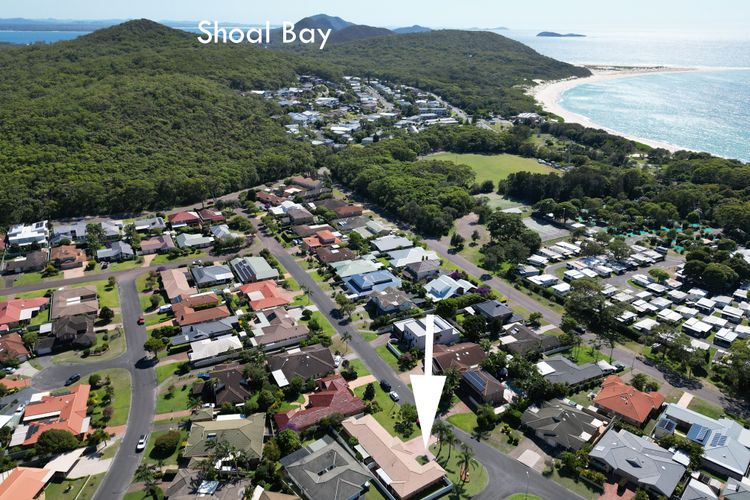 Fingal Palms