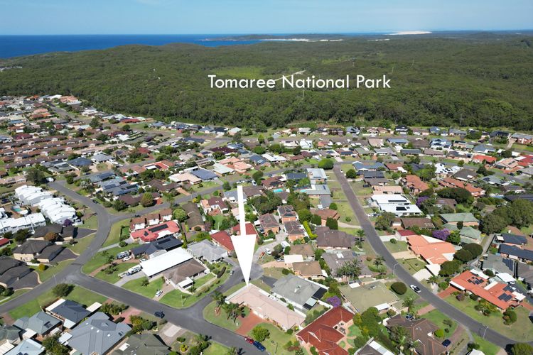 Fingal Palms
