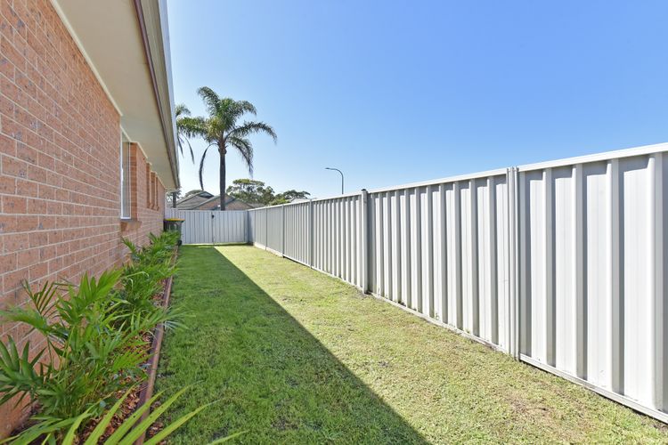 Fingal Palms