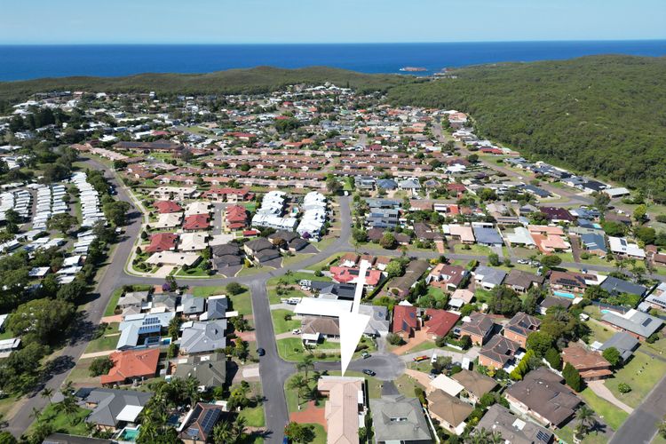 Fingal Palms
