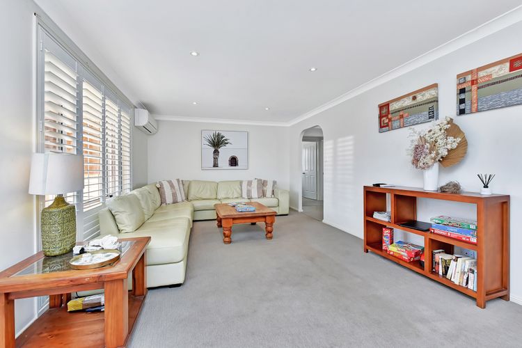 Fingal Palms