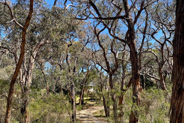 Bells Beach Acreage and Tranquility