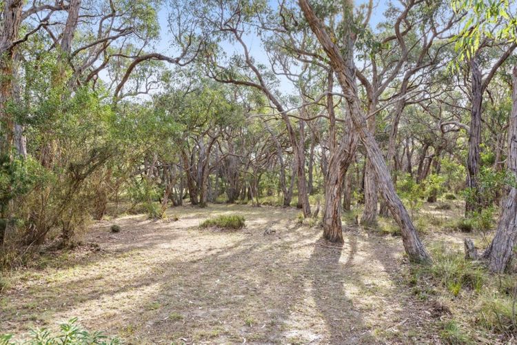 Bells Beach Acreage and Tranquility