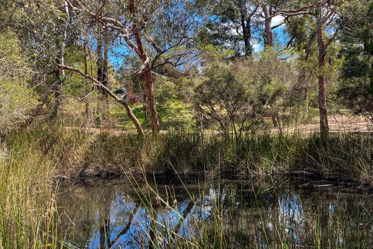 Bells Beach Acreage and Tranquility