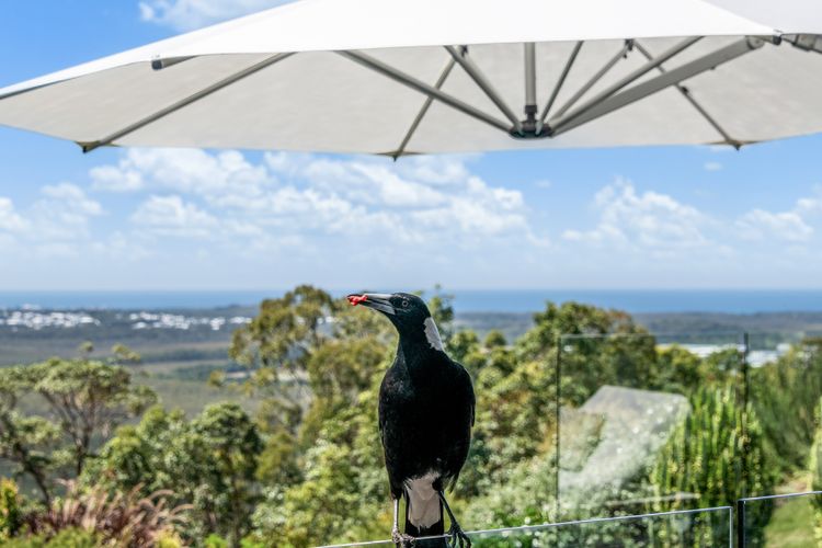 Coolum Beach Country Retreat