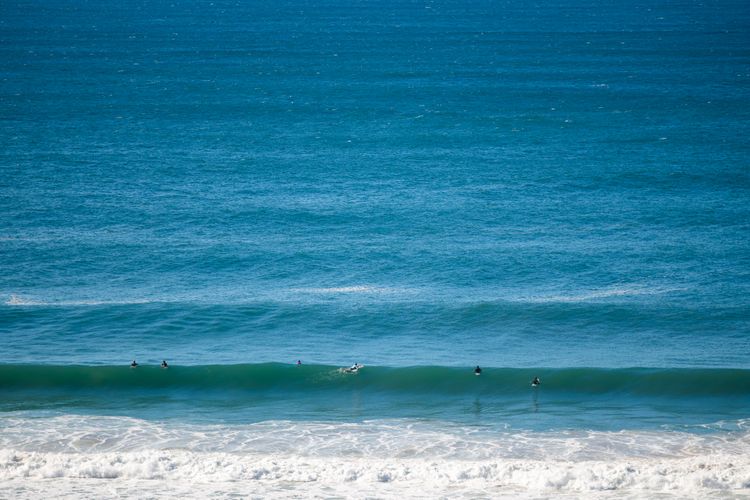 SALTWATER
