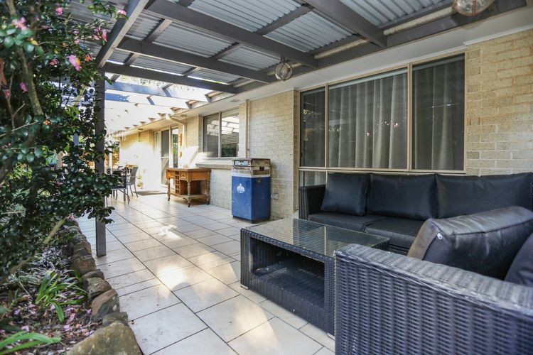 Vitamin Sea – Pet Friendly