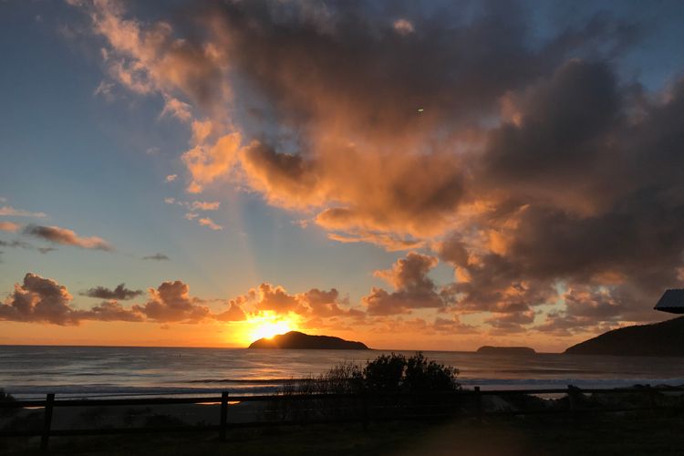 Vitamin Sea – Pet Friendly