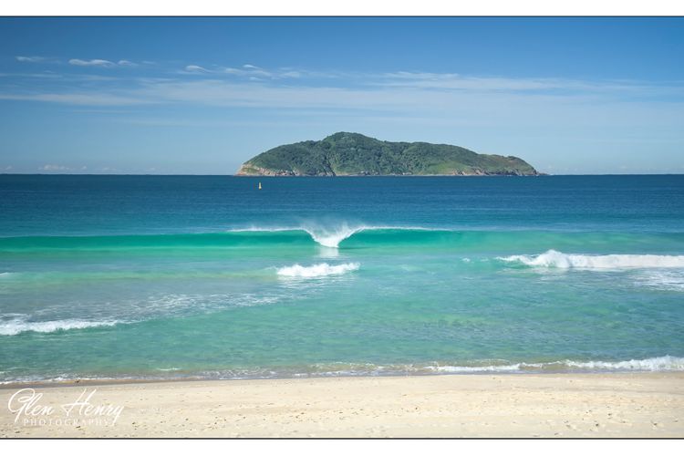 Vitamin Sea – Pet Friendly