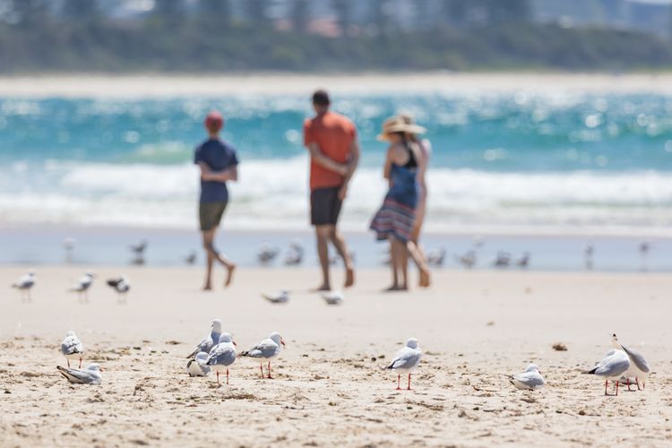 Beach Daze in the heart of Kingscliff