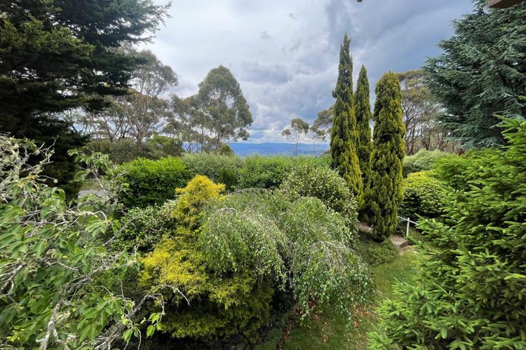Heart of the Blue Mountains