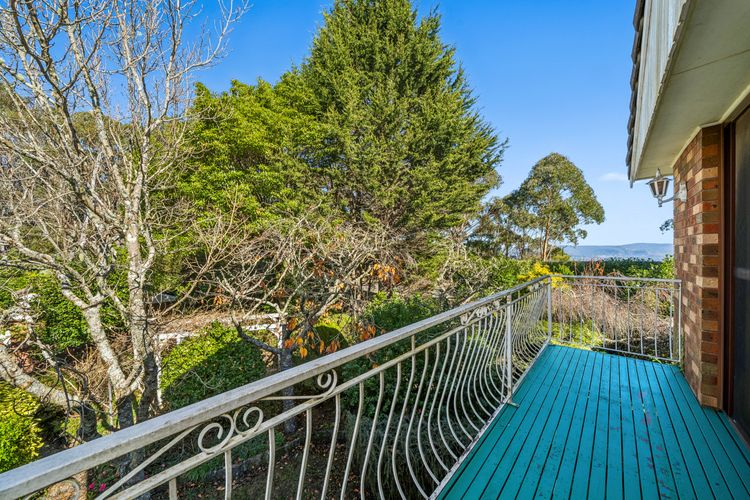 Heart of the Blue Mountains