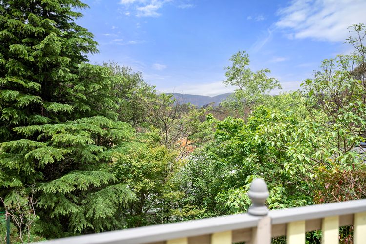 Narrow Neck Hideaway