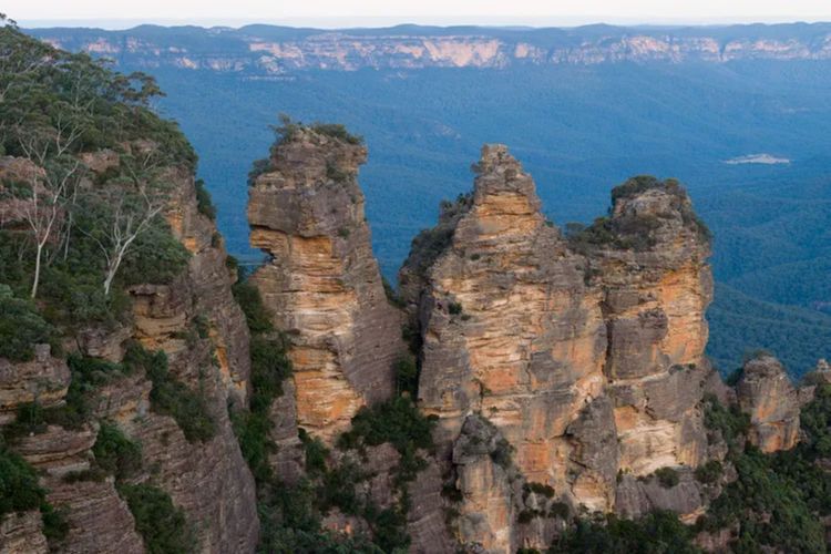 Narrow Neck Hideaway
