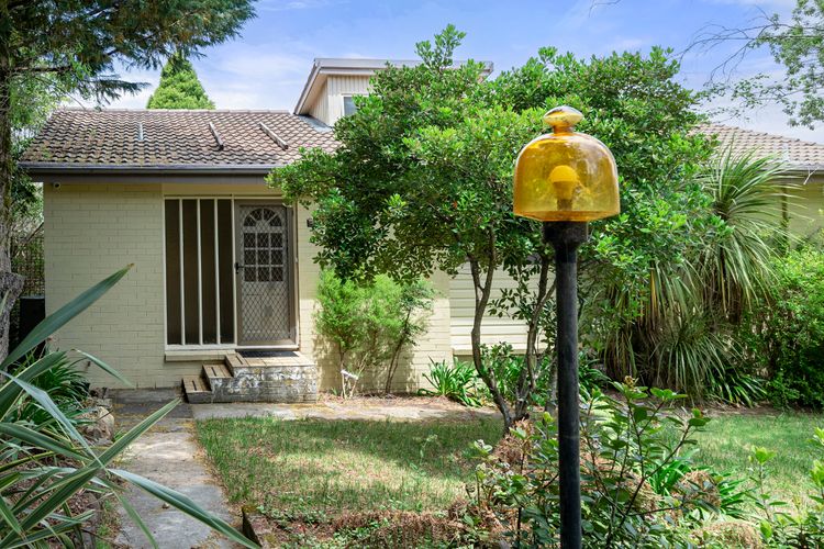 Narrow Neck Hideaway