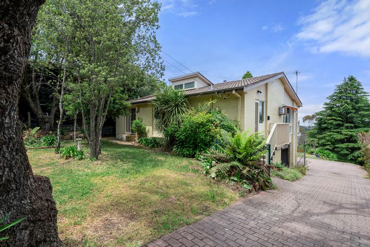 Narrow Neck Studio