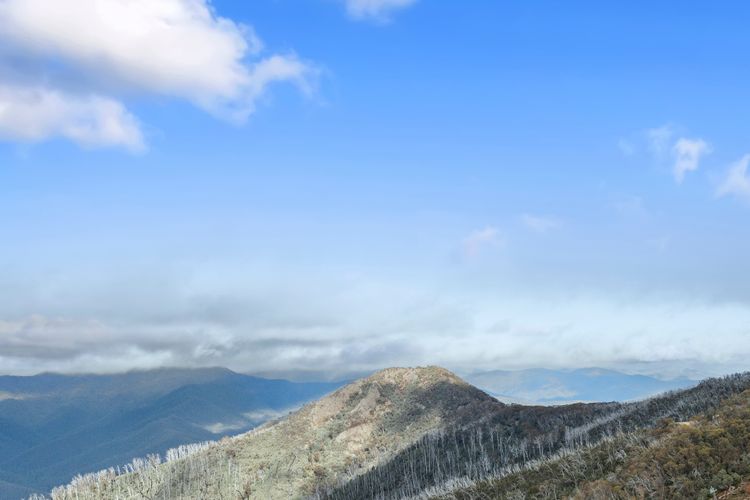 SKI VIEW 4