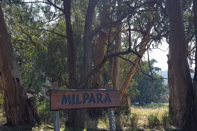 Welcome to Milpara....