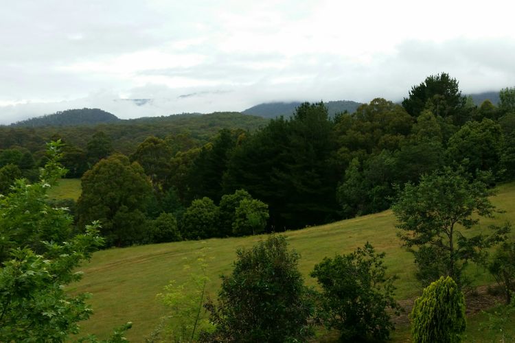 View from rear balcony plus Mt Buller Views