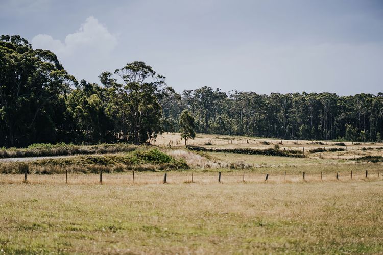 Cooper’s Hill