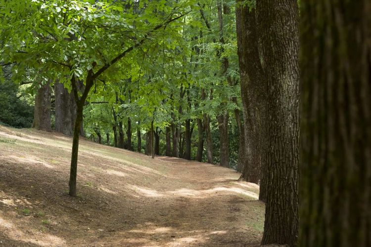 Hill Haven