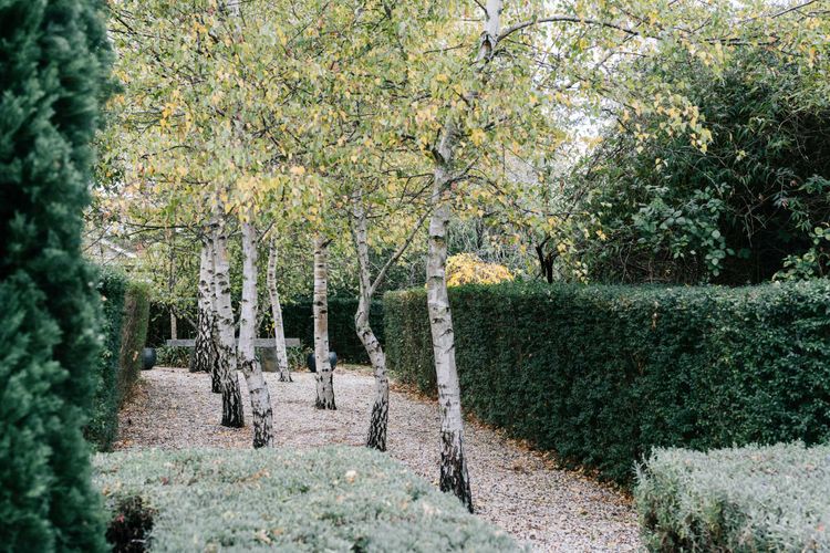 The Garden House