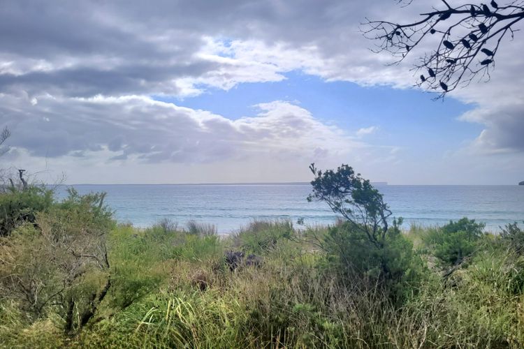 The Dolphin Beach House Vincentia – Beachfront In Vincentia