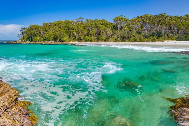 Secret on Seagrass