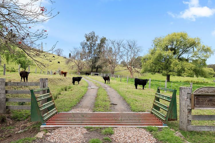 Sunny Hills Farm