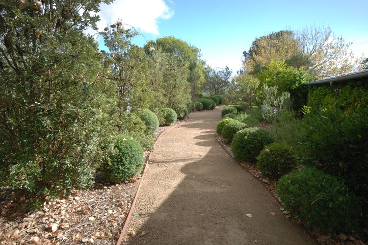 Red Hill Ridge