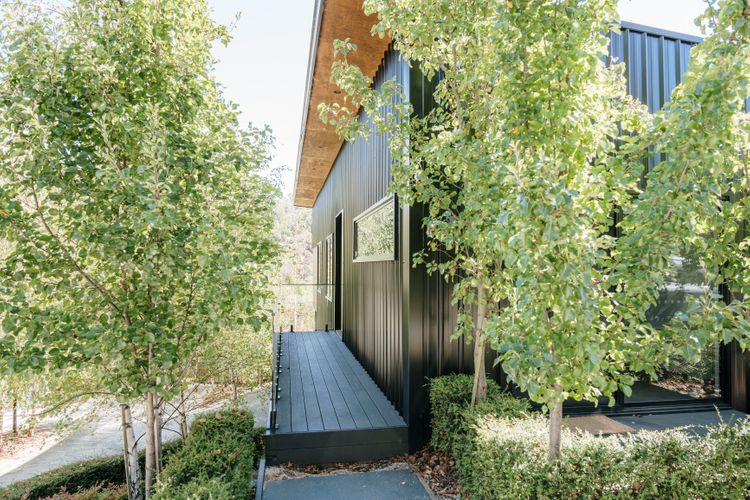 Tree Top Haven ITAS