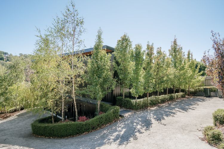 Tree Top Haven ITAS