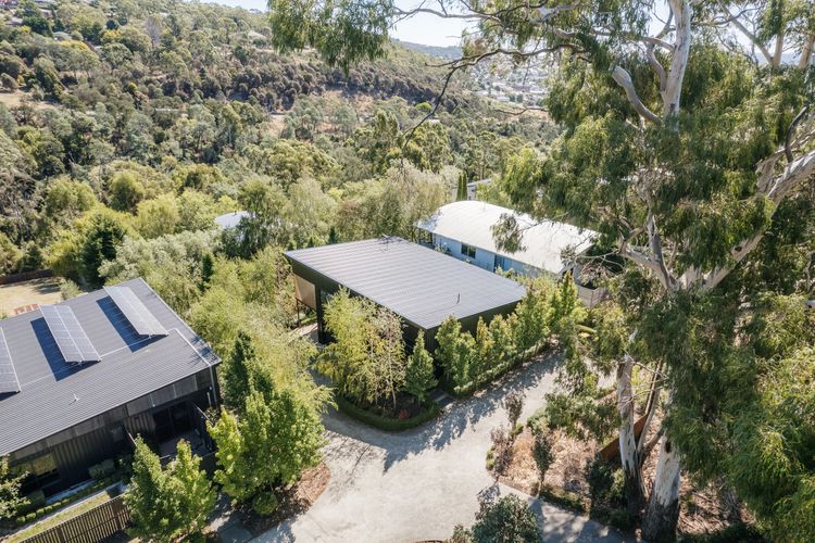 Tree Top Haven ITAS