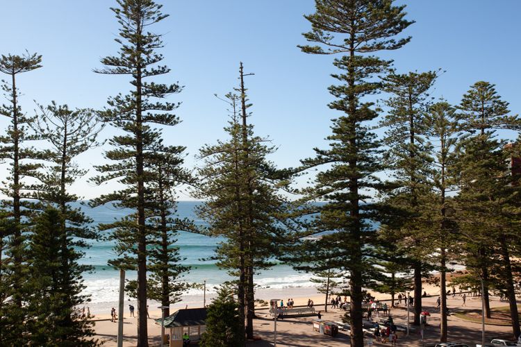 Penthouse Paradise, Manly Beach IH