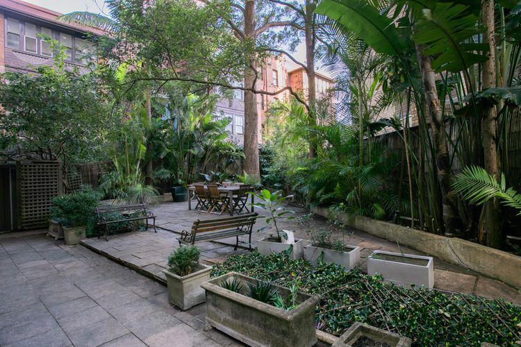Tewkesbury Courtyard, Darlinghurst I90