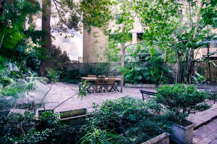 Tewkesbury Courtyard, Darlinghurst I90