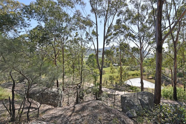 Quirky cabin in bushland