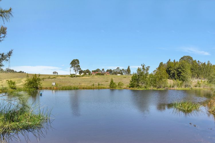 Noble Willow Homestead Lovedale. Super Spacious, with views and pool