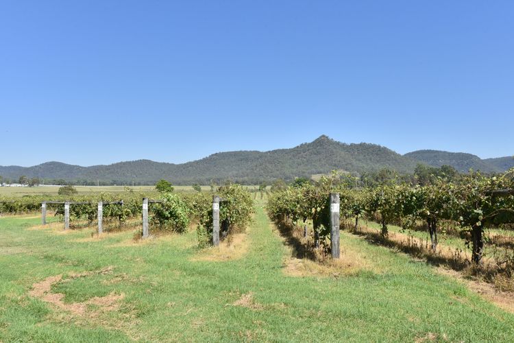 Somerville Wine Cottage Hideaway  3-Bedroom Cottage Near Broke Wineries