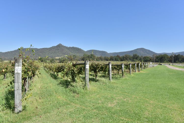 Somerville Wine Cottage Hideaway  3-Bedroom Cottage Near Broke Wineries