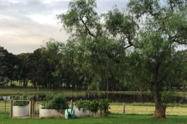 Kinloch Cottage stunning (renovated to new) on Daisy Hill Vineyard