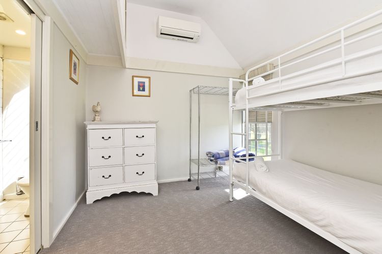 OMG! Elevated Adventures: Bunk Bed Fun for All Ages