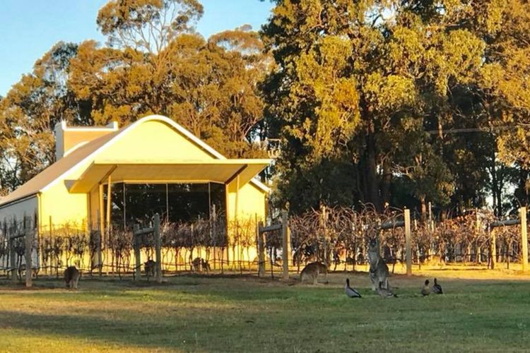 Ironbark Hill Villa 5 – Vermentino