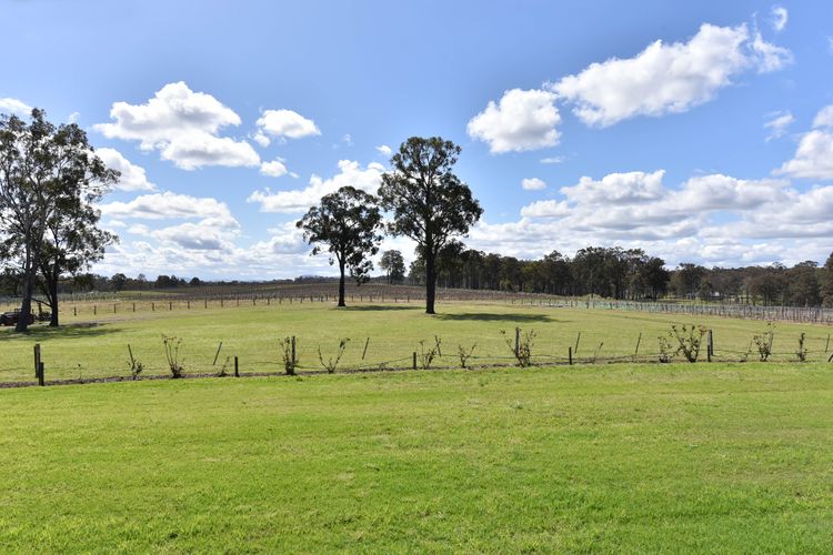 Ironbark Hill Estate