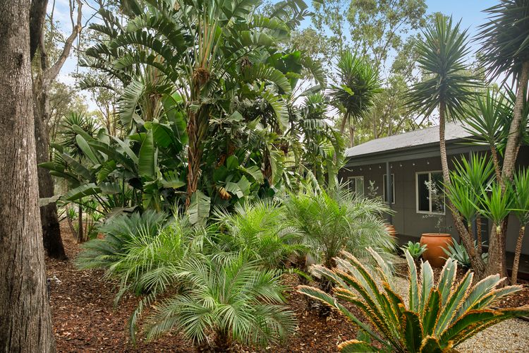 Fig Tree Guest House