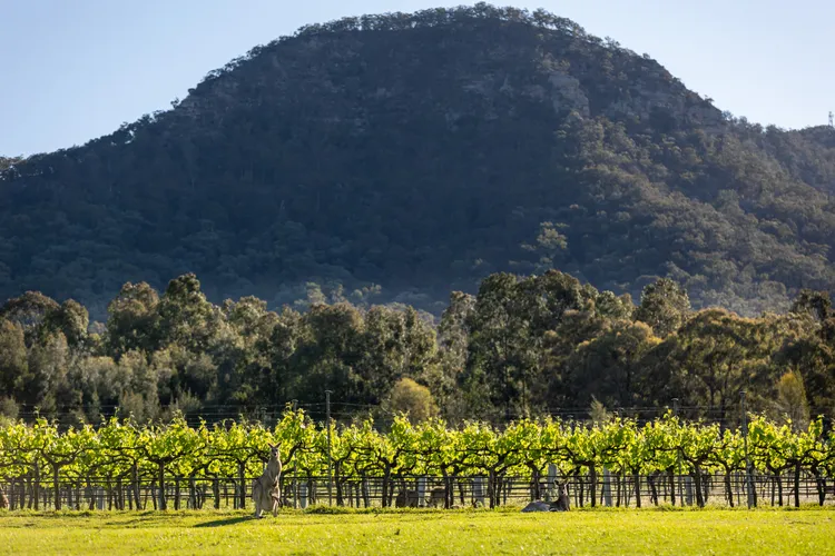 Perfectly private location close to wine vineyard 