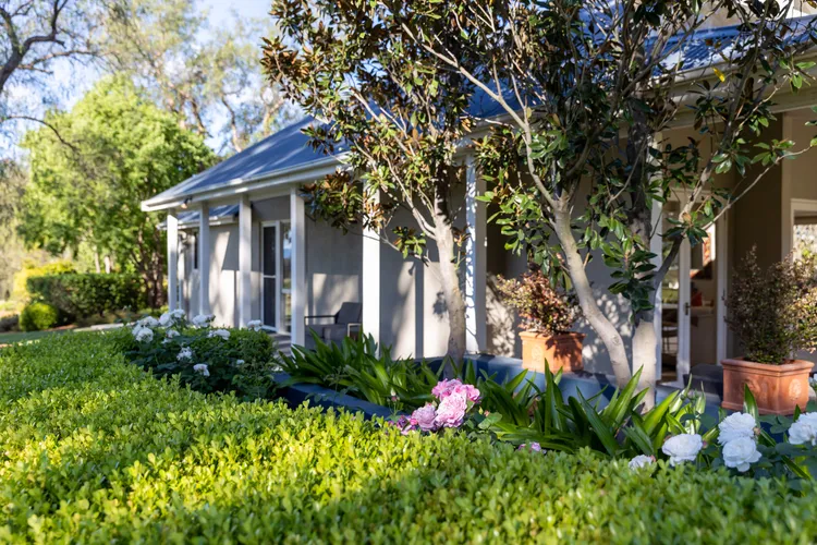OMG! Amazing countryside home with vineyard views!