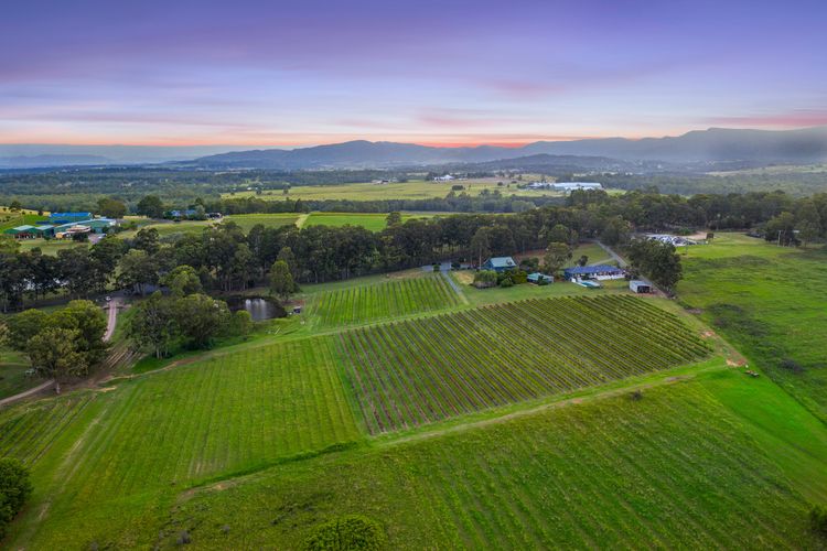 Palmers Lane On Vineyard Homestead