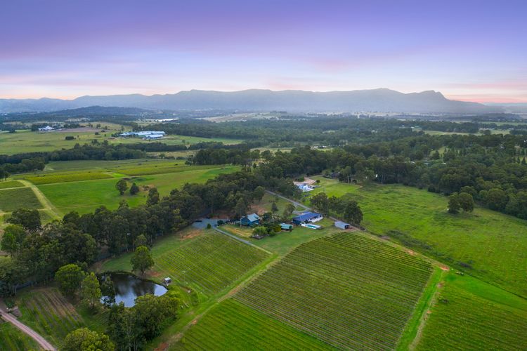 Palmers Lane Vineyard Estate and Retreat with Pool offers a large 6br home and 2br cottage